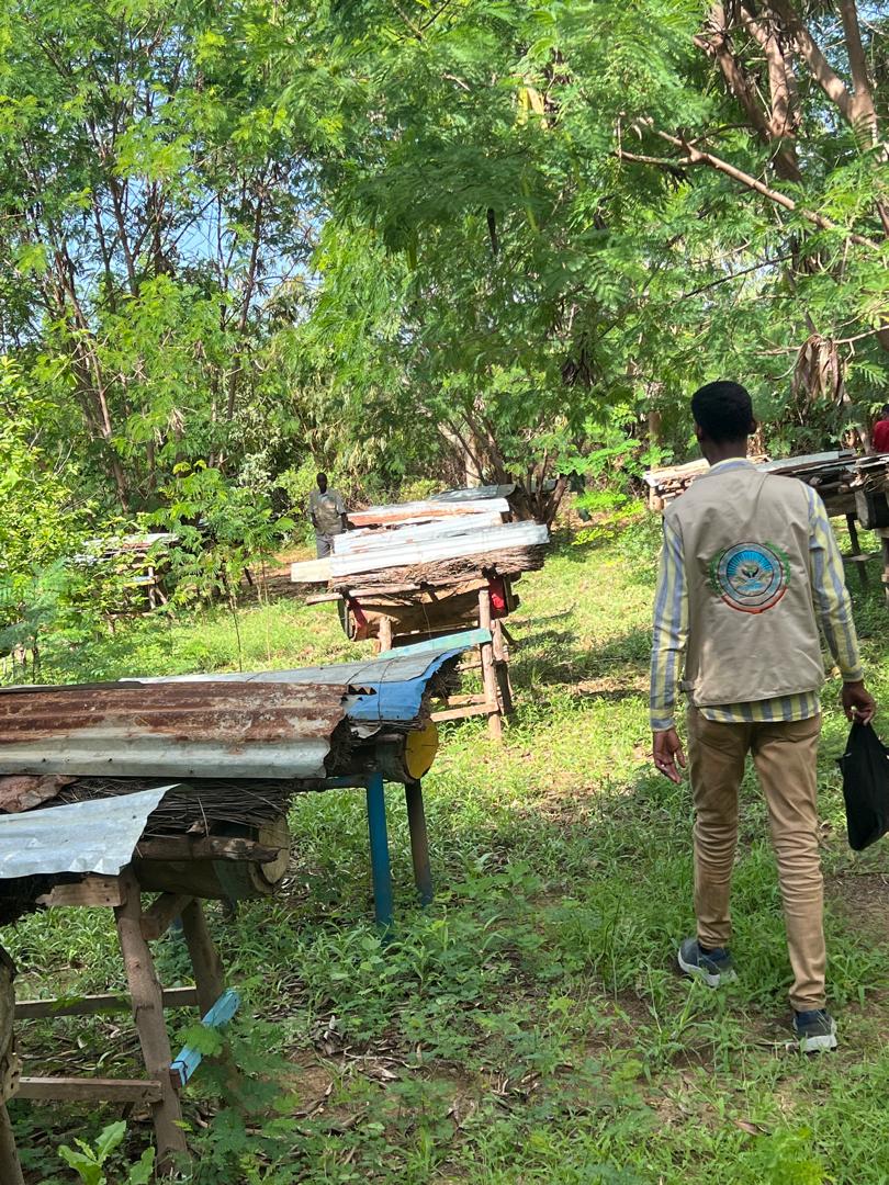 CODHNET's tweet image. It’s #WorldBeeDay!
Bees are vital for food, biodiversity &amp;amp; farmer livelihoods.

At #CoDHNet, we support sustainable beekeeping to help communities earn income &amp;amp; protect pollinators.

Support the buzz:
🌼 Plant for pollinators
🍯 Buy local honey
🌱 Choose eco-farming
#SaveTheBees