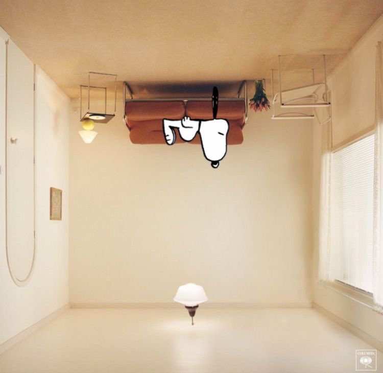 stylesfolders's tweet image. snoopy’s house