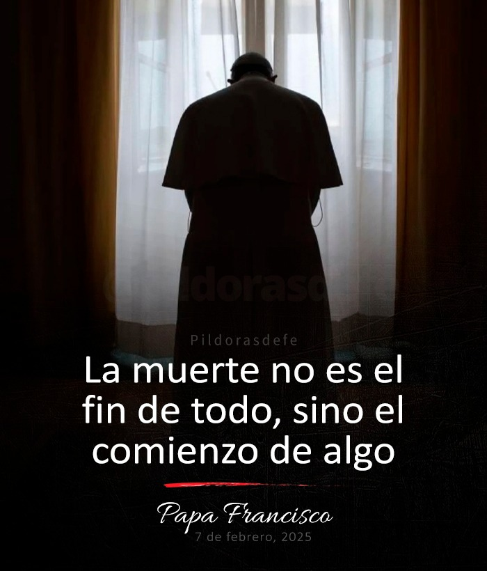 Pildorasdefe tweet media