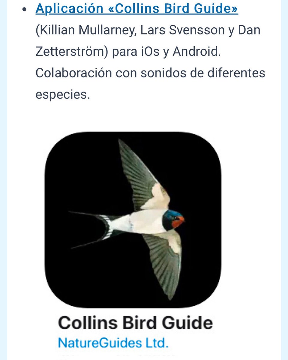 sononatura's tweet image. Voy a realizar una colaboración con la conocida app “Collins Bird Guide”, de Lars Svensson, Killian Mullarney y Dan Zetterström. Para ello, han seleccionado varios de mis registros sonoros de aves, que formarán parte de la guía virtual.