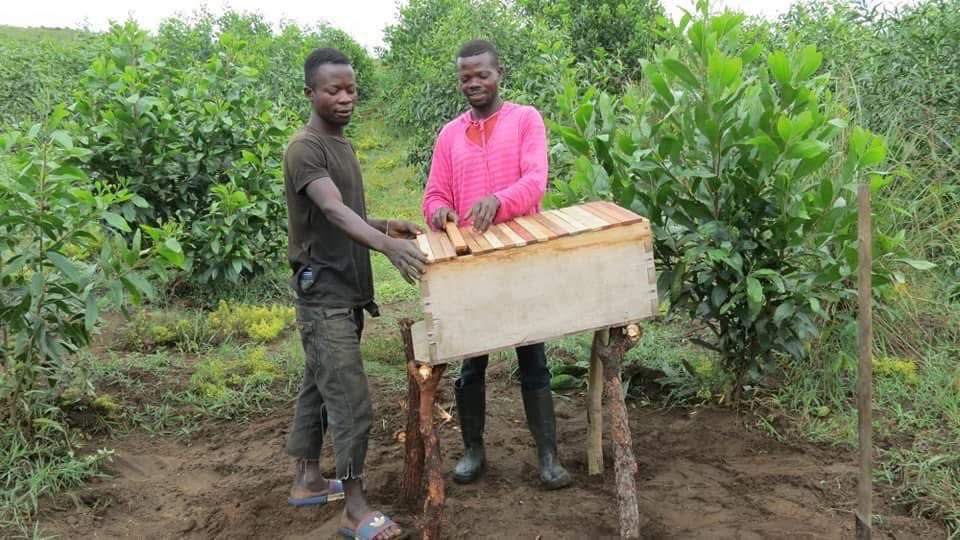 KimKimuntu's tweet photo. Un clin d’œil à tous les #apiculteurs et #apicultrices du plateau des Bateke qui malgré l’insécurité produisent encore quelques kilos de #mielnaturel pour notre santé.
Bonne journée mondiale de l’abeille !
#WorldBeeDay #BeeMonth #Abeilles #Apiculture #Biodiversité #Climat https://t.co/d4IwvUpttc