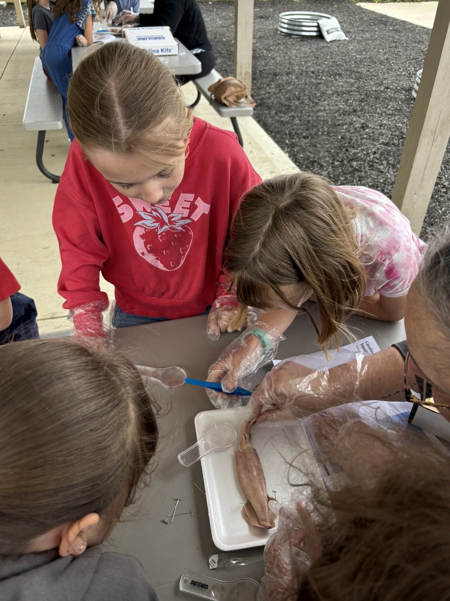 Taking ELA and Science to the next level with a third grade squid dissection!
🦑 📖