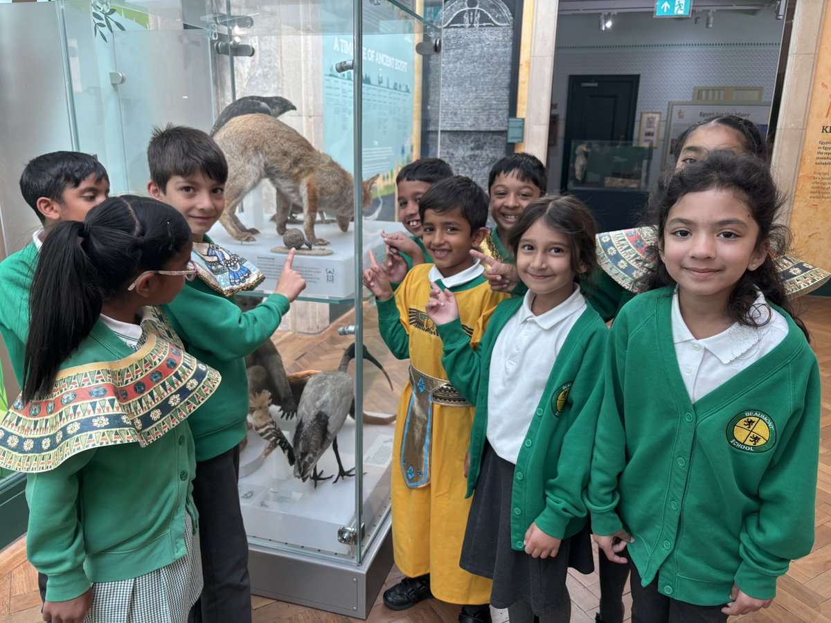 BeaumontYear3 tweet media