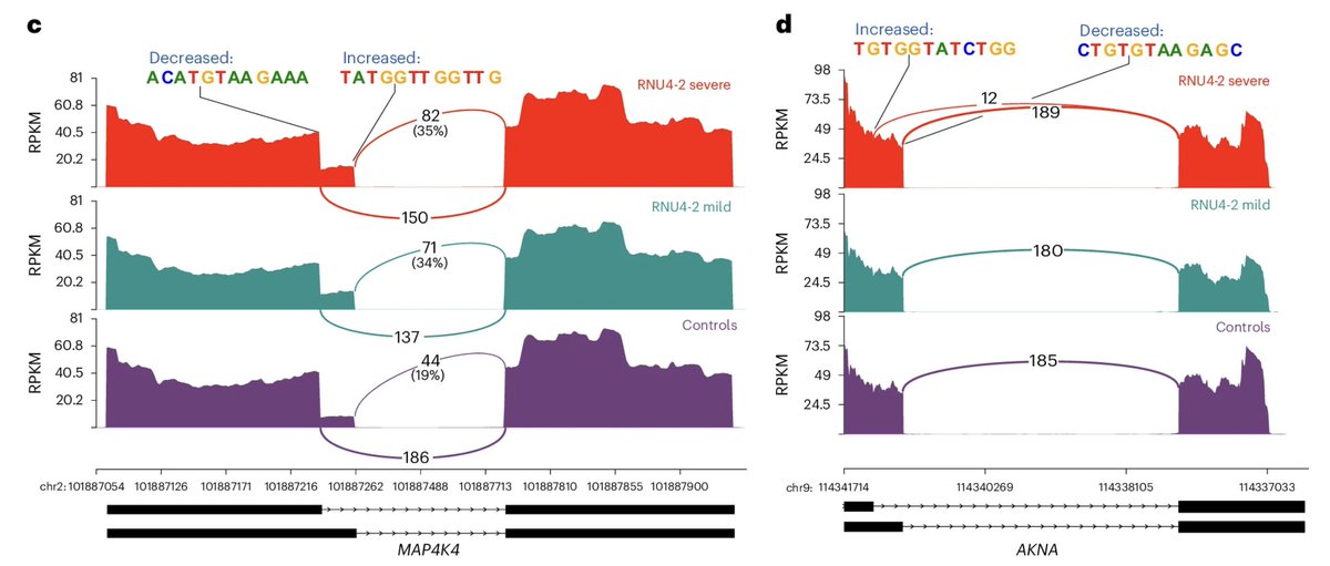 joe_pickrell's tweet image. A set of non-coding genetic variants -- mutations in RNA genes-- cause neurodevelopmental disorders by disrupting alternative splicing across the genome nature.com/articles/s4158…