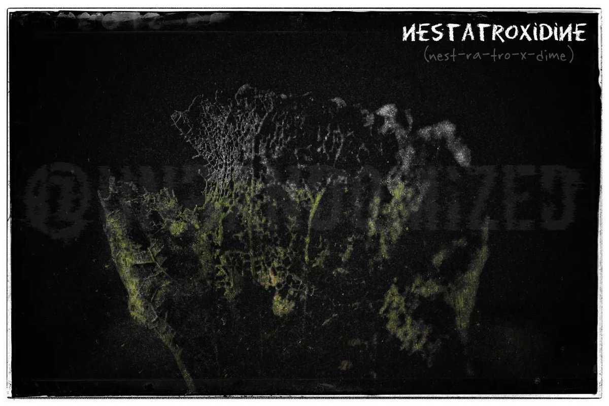UnRandomized's tweet image. Nestatroxidine (Photography and Photoshop Art Project, fictional virus)
A plague like virus capable of jumping from various plant life to survive. It has no known cure and is often referred to as immortal due to it's unique resistance to most things.