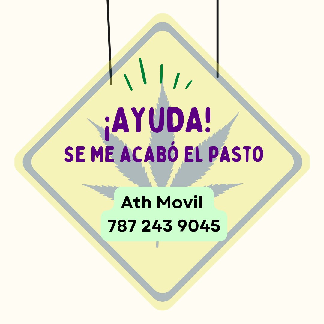 Trans 🏳️‍⚧️ fat POC oppose invasions (@borihushpuppy) on Twitter photo 