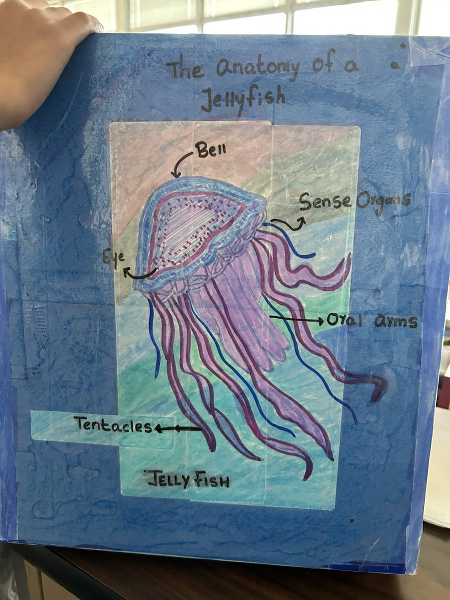 MrsPukel2ndGrade tweet media