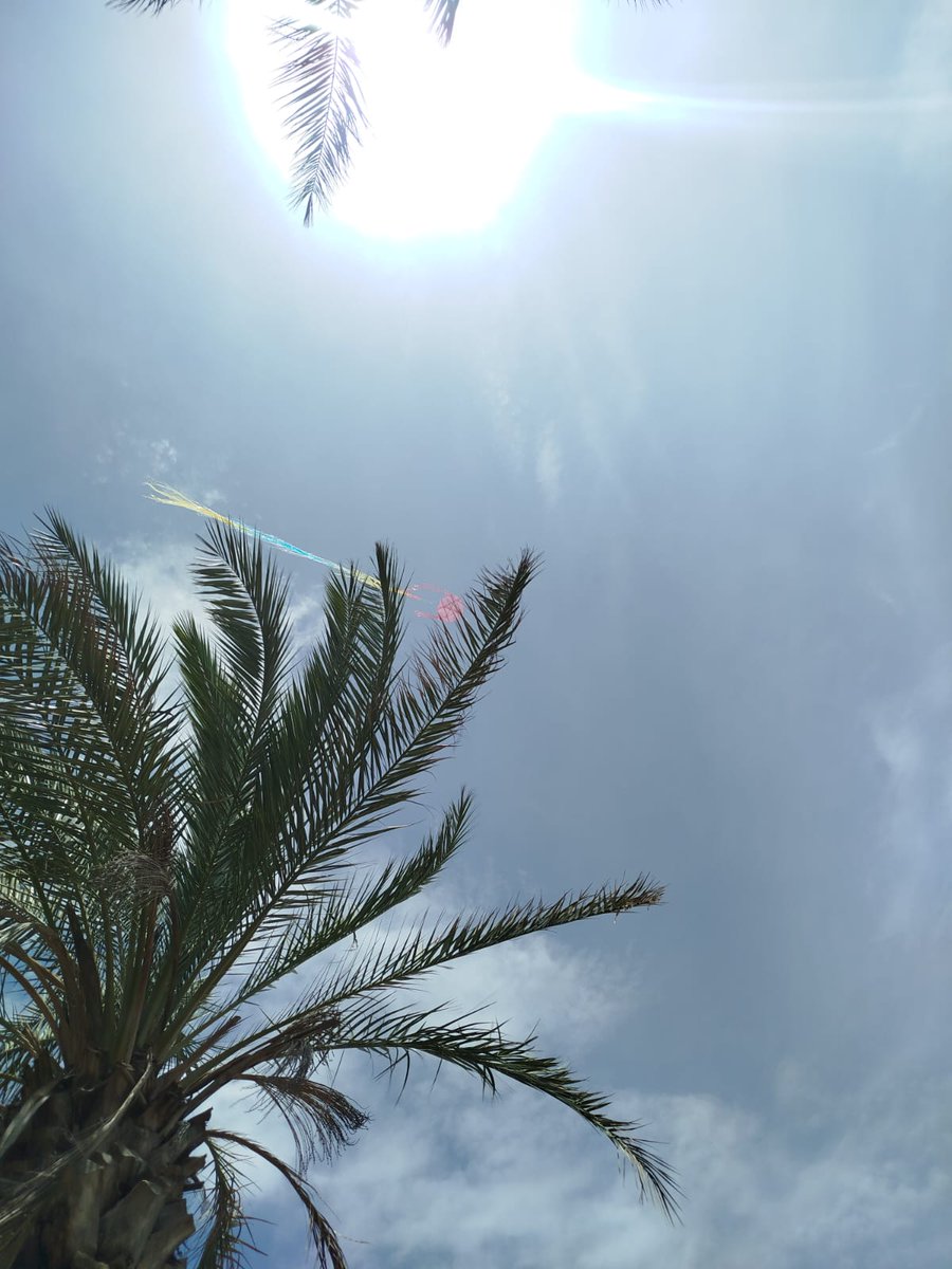 Ağbiii kamp yağğğ