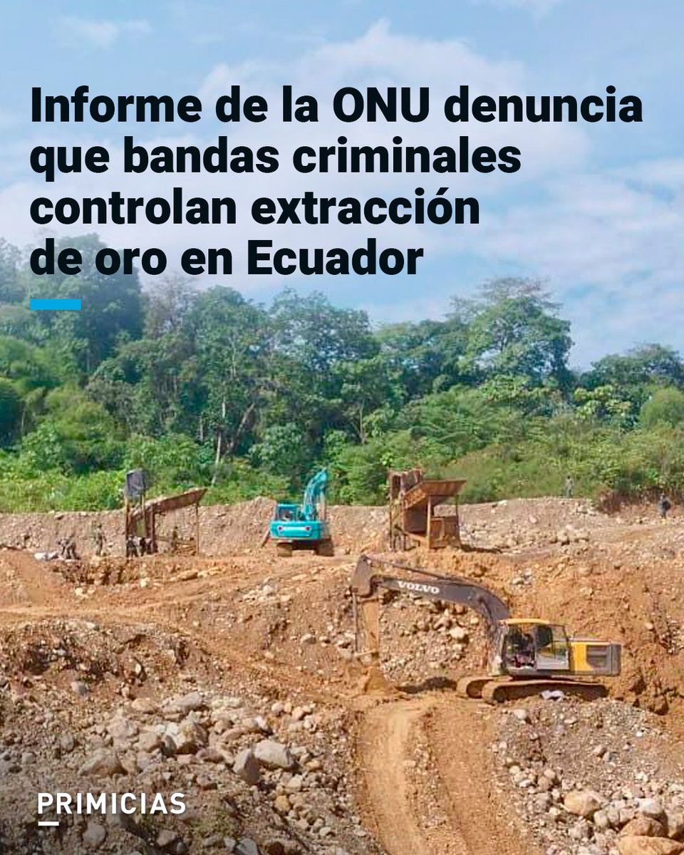 Primicias tweet media