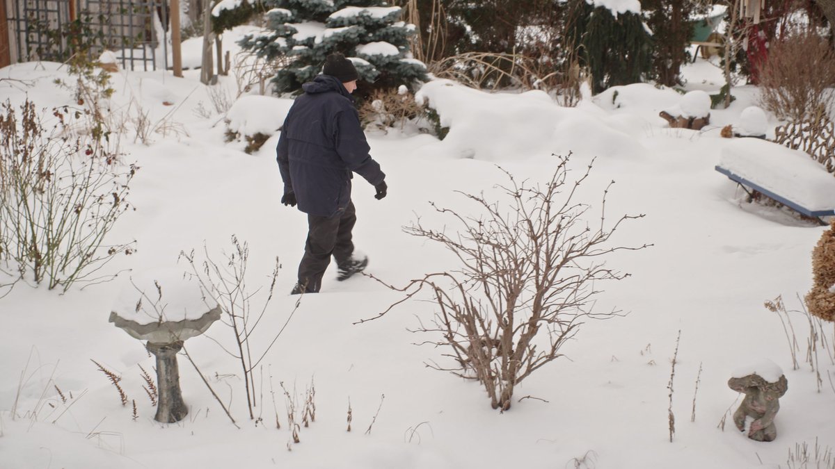 Now streaming! If you missed last night’s episode of Ageless Gardens Season 5, stream it online for free. Watch Episode #503: “Gardening for All Season.” visiontv.ca/videos/ageless…