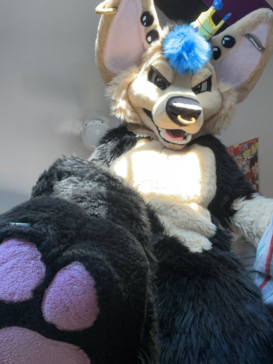 π³οΈββ§οΈ Chibi Puppy Floof π³οΈββ§οΈ (@chibithefloof) on Twitter photo Heard it was #PawDay today.
So get stepped on loser.
πͺ‘ @/FrostiHadaSunae and <a href="/SeabreezeFox/">π Breezy π</a> Heard it was #PawDay today.
So get stepped on loser.
πͺ‘ @/FrostiHadaSunae and <a href="/SeabreezeFox/">π Breezy π</a>