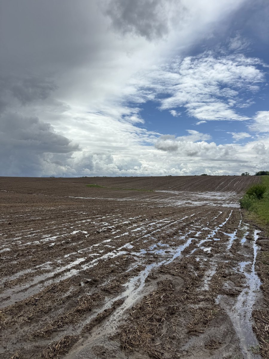 Gavin Spoor tweet media