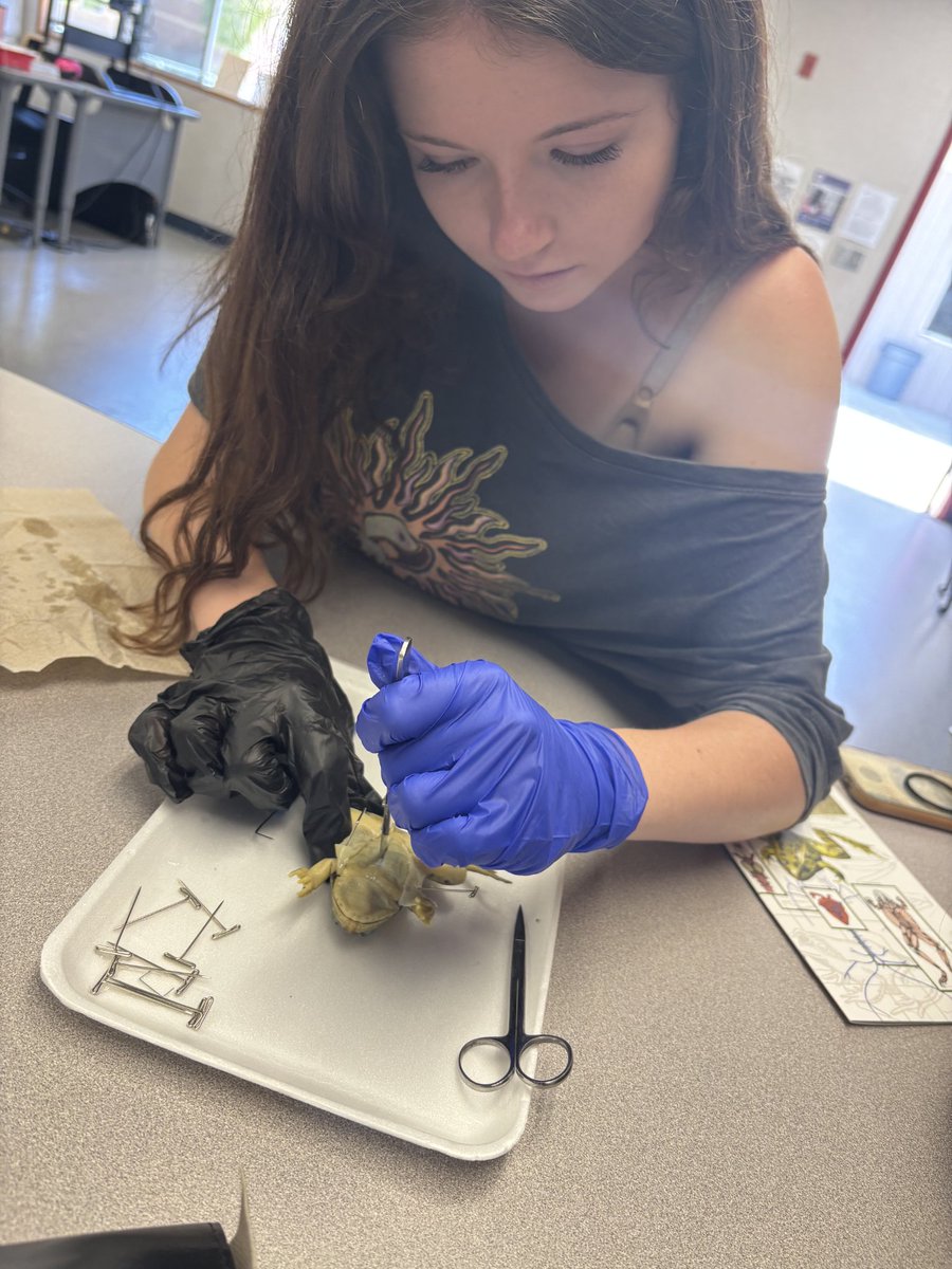 eAcademy Biology - dissecting frogs!!! There were mixed reviews from the students...... 🤣 Thank you to Mrs. Vanderfin with the wonderful engaging lesson!!!