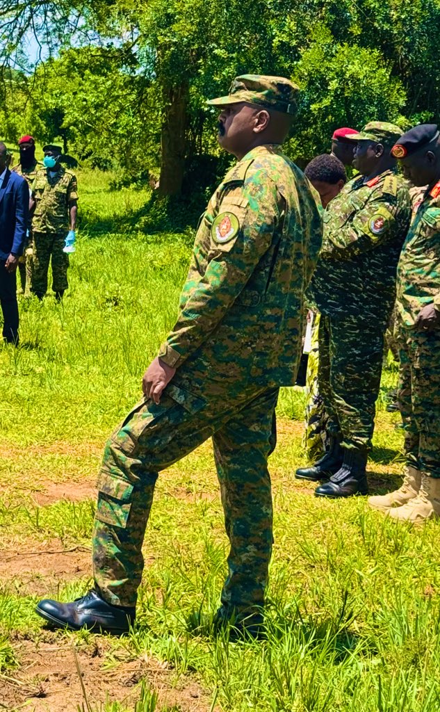 Simba inatembeya musituni.