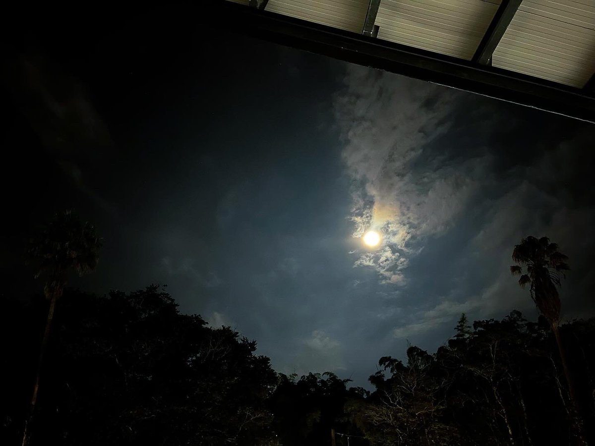 Megaproyectovia's tweet photo. Así se ve la luna desde nuestra plaza de mercado:
Una obra que no solo ilumina las noches, sino que ha transformado la vida de campesinos y cejeños. 🌕✨
Aquí, tradición y progreso se encuentran cada día.🌼 https://t.co/5CJEHXBWBP