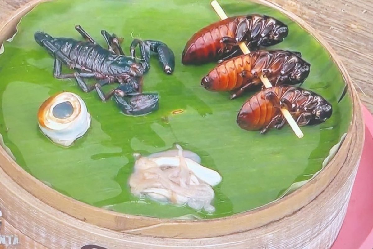 Maxime qui va récupérer les restes à la fin de l’épreuve 🤣 #KohLanta