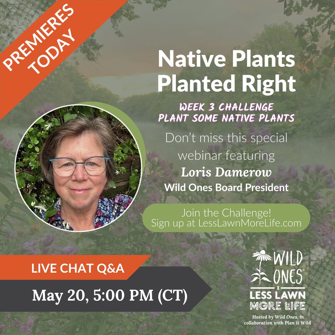 Have questions about planting natives? 🌱
Join native plant experts and Less Lawn More Life Challenge collaborators in the live chat tonight during the YouTube premiere of Native Plants Planted Right - 5 p.m. CT/ 6 p.m. ET! 
🔗 Watch here → wildones.org/native-plants-…