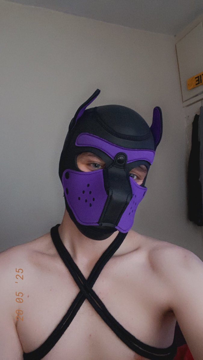 puppy is bored 😴 😌

#gay #puppyplay #pup #puppyboy