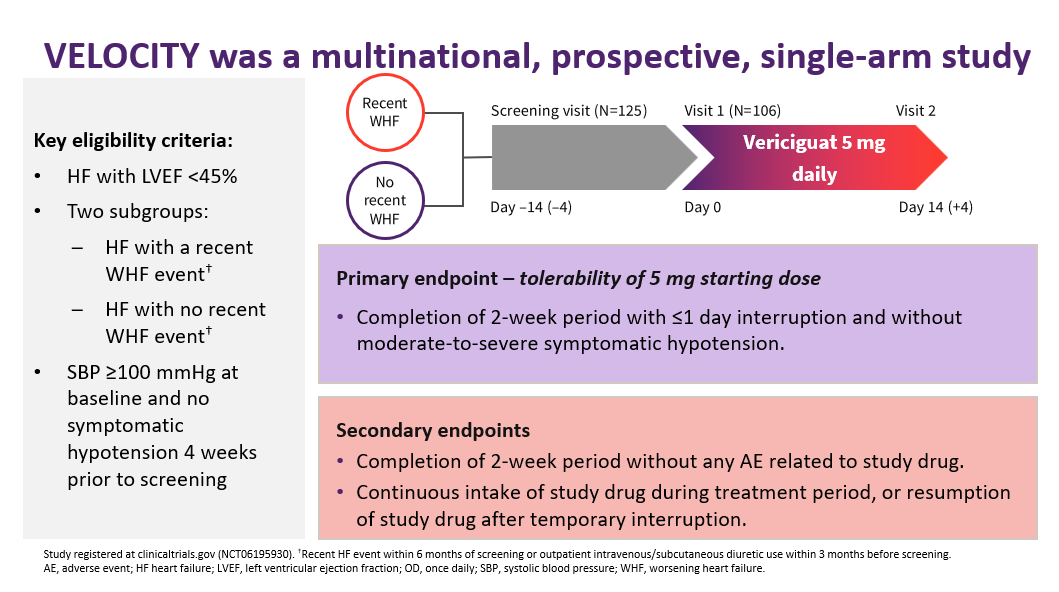 Steve Greene tweet media