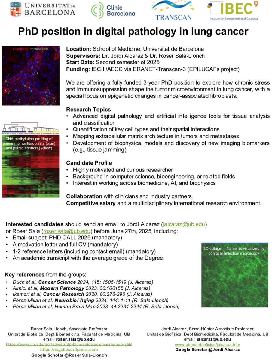 🎓PhD opportunity for image lovers
#PhD #Barcelona #PhDposition #UniBarcelona #digitalpathology #AI #CancerResearch