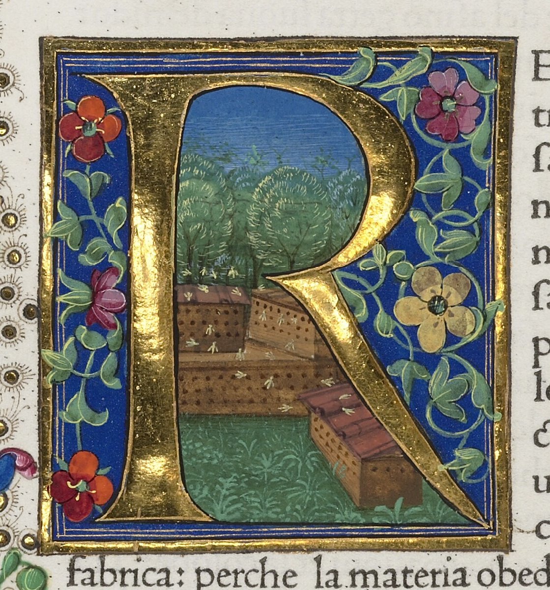 Ennius (@red_loeb) on Twitter photo The bee has pride of place among all insects.
#WorldBeeDay
Bodleian Library Arch. G b.6; Historia naturale di Caio Plinio Secondo, tradocta di lingua latina in fiorentina per Christophoro Landino; 1476 CE; Italy (Venice); f.132v
<a href="/BDLSS/">Bodleian Digital Library Systems and Services</a> The bee has pride of place among all insects.
#WorldBeeDay
Bodleian Library Arch. G b.6; Historia naturale di Caio Plinio Secondo, tradocta di lingua latina in fiorentina per Christophoro Landino; 1476 CE; Italy (Venice); f.132v
<a href="/BDLSS/">Bodleian Digital Library Systems and Services</a>