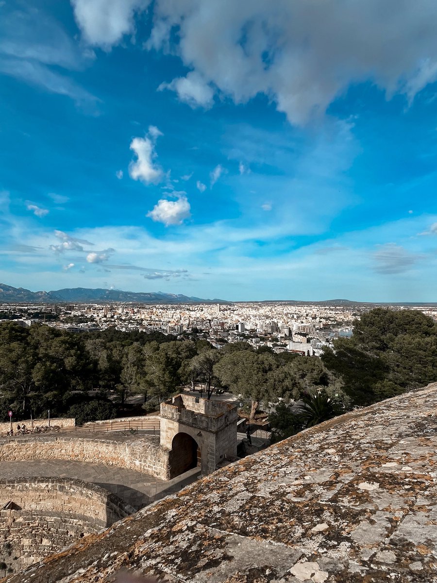 TaisIllan's tweet photo. Viviendo despacio, respirando profundo 🌴
[📍Palma de Mallorca, Mayo’25 ]

https://t.co/KcRBVKAwhJ https://t.co/5X6CWYtB5l