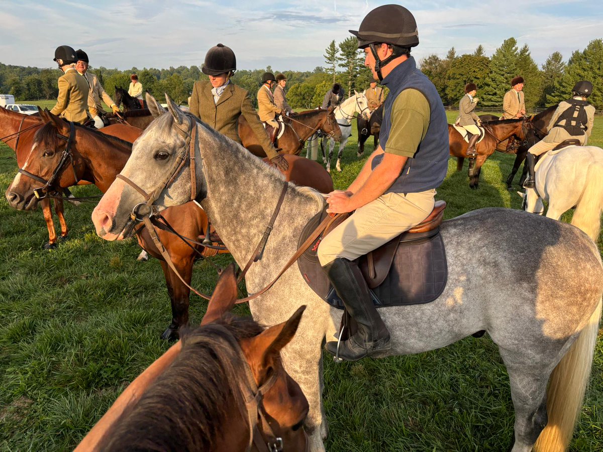 Shown here out hunting, Straw Into Gold put in another good performance at Potomac on Sunday with a third place finish. The gelding also scored a win at Old Dominion Hounds last month as well.