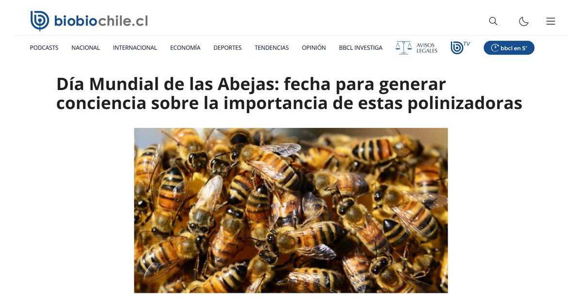 CCHEN Nuclear 🇨🇱 (@cchen_gob) on Twitter photo #DíaDeLasAbejas 🐝
Revisa aquí la entrevista que nuestro investigador Dr. Enrique Mejías ofreció a <a href="/biobio/">BioBioChile</a>, donde comentó que "Protegerlas es mucho más que una acción ambiental: es una necesidad estratégica para la humanidad”.
🔗biobiochile.cl/noticias/nacio… #DíaDeLasAbejas 🐝
Revisa aquí la entrevista que nuestro investigador Dr. Enrique Mejías ofreció a <a href="/biobio/">BioBioChile</a>, donde comentó que "Protegerlas es mucho más que una acción ambiental: es una necesidad estratégica para la humanidad”.
🔗biobiochile.cl/noticias/nacio…