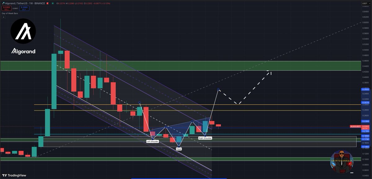 X_CryptoConncet's tweet photo. 🚨 #ALGO #Algorand Chart Update ❗️👀
🚨 #Bullish News 📈

 Algorand  is currently sitting at $0,22 with an All Time High at $3,45❗️
Don´t Miss It❗️❗️

#Crypto #Cryptocurrency  #ALGORAND #Ripple #RLUSD #XRP #XLM #XDC #QNT #FLR #HBAR #BTC #Bitcoin #XRPArmy #XRPFamily #BLOCKCAIN https://t.co/7vDI0lDa5Z