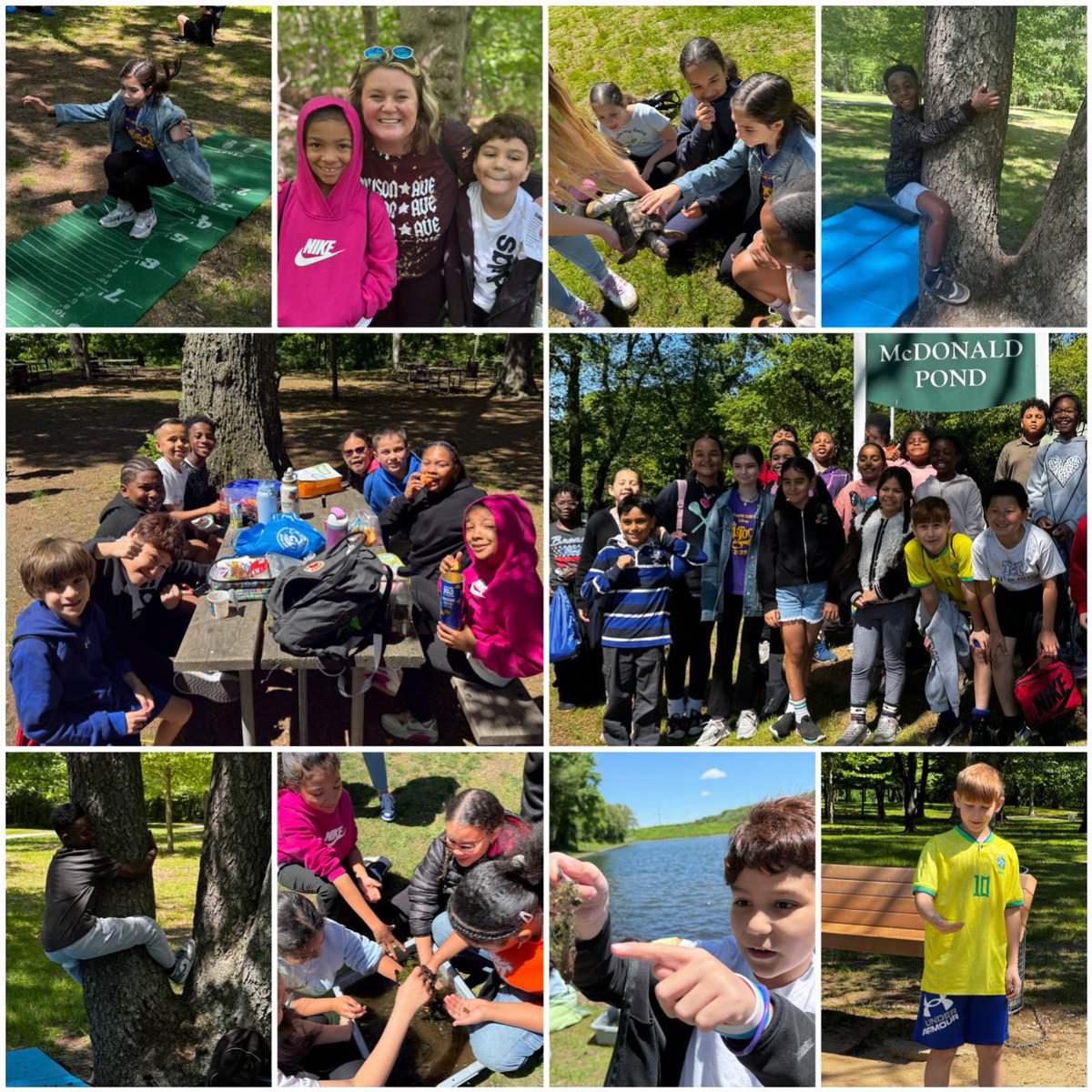 Ms. Lindsay Beaumont tweet media