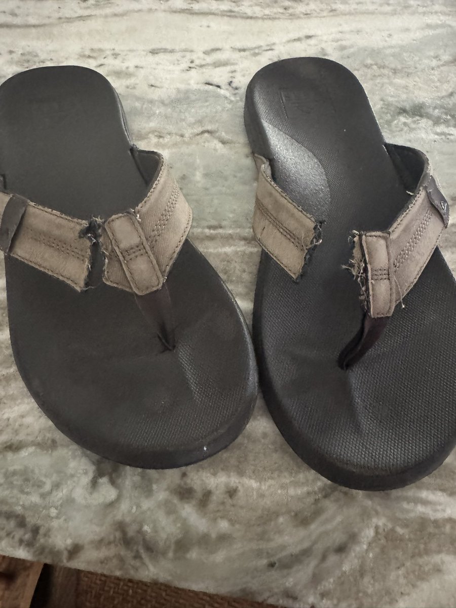 New family dog just chewed through the flops. Any recommendations on some new ones. #riptheflops