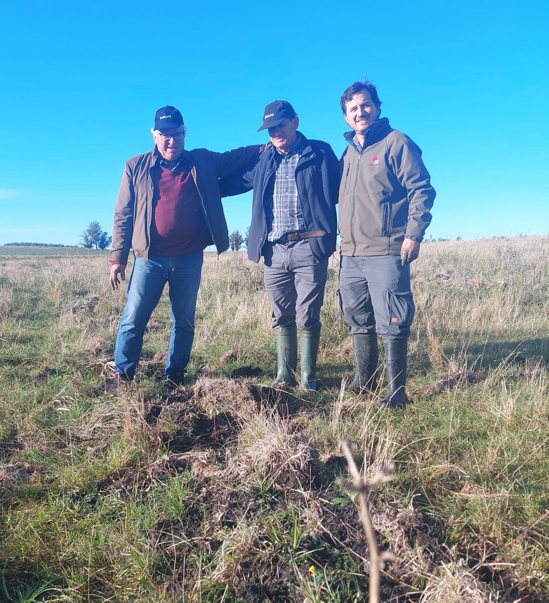 #Hoy estuvimos en 📌Estación Experimental de Facultad de Veterinaria, Migues, Canelones

✔️Se realizó plantación de 19 ejemplares de Guayubira (Cordia americana) y 19 ejemplares de Angico (Parapiptadenia rigida) con un diseño de 6 x 6 metros alternado
🖼️👉 acortar.link/vEUZp4