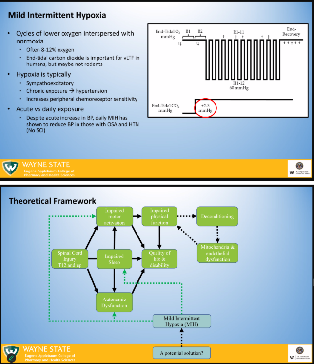 Panza Lab tweet media