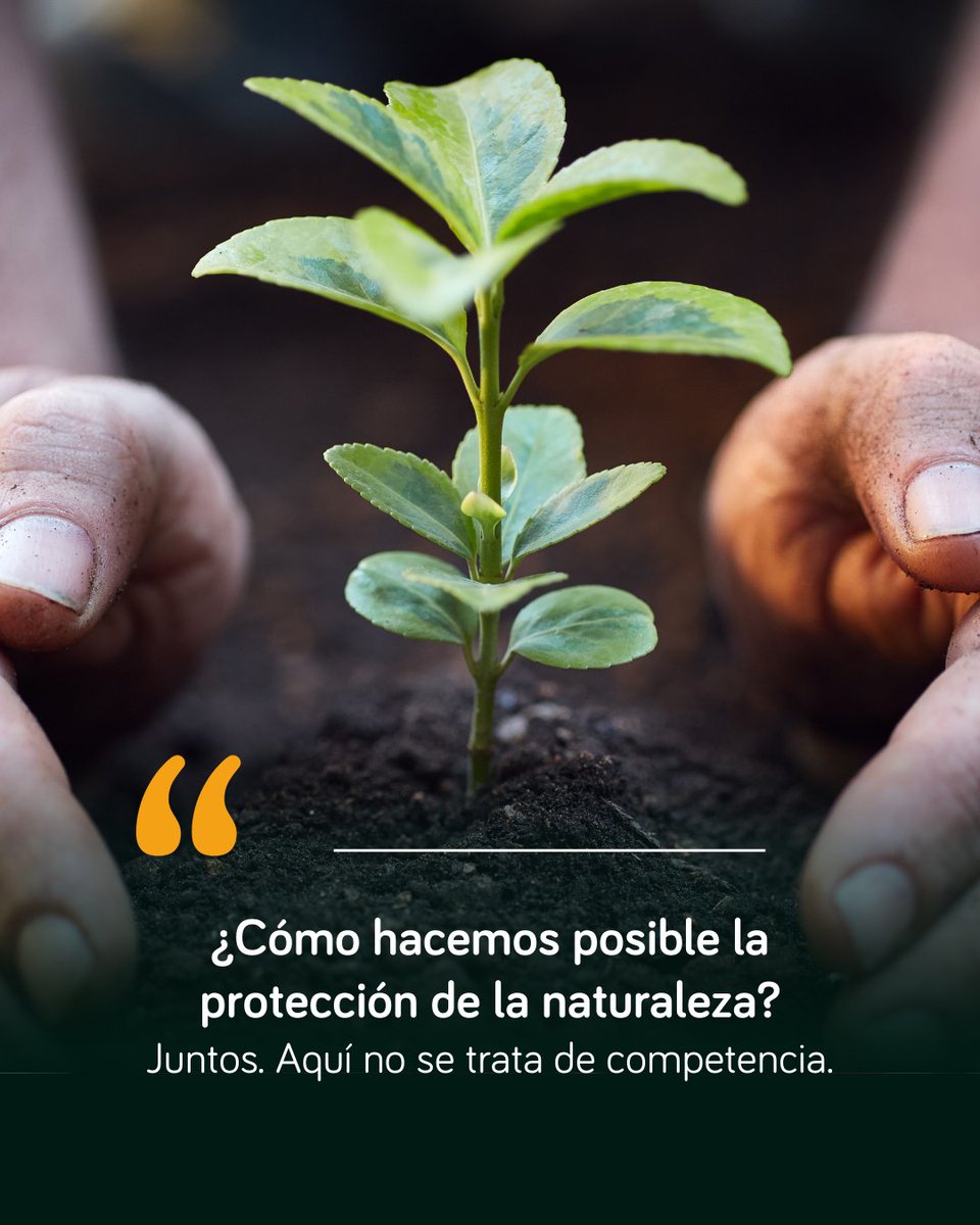 MasbosquesCol's tweet photo. "Biodiversidad con la gente adentro” no es solo una frase: es una forma de hacer conservación desde el territorio, con quienes lo habitan y lo protegen. En el cuarto episodio de Historias de Conservación hablamos con Javier Valencia, director de @Cornare, sobre cómo las empresas pueden ir más allá, sumándose al cuidado de la naturaleza desde la confianza, el diálogo y el trabajo conjunto. 📷 Porque proteger el planeta no es una competencia, es una causa común. 
📷 Escúchalo ya https://t.co/AHkcv8NNsu

#HistoriasDeConservación #EmpresasqueVanMasAlla #SostenibilidadColombia #PodcastAmbiental