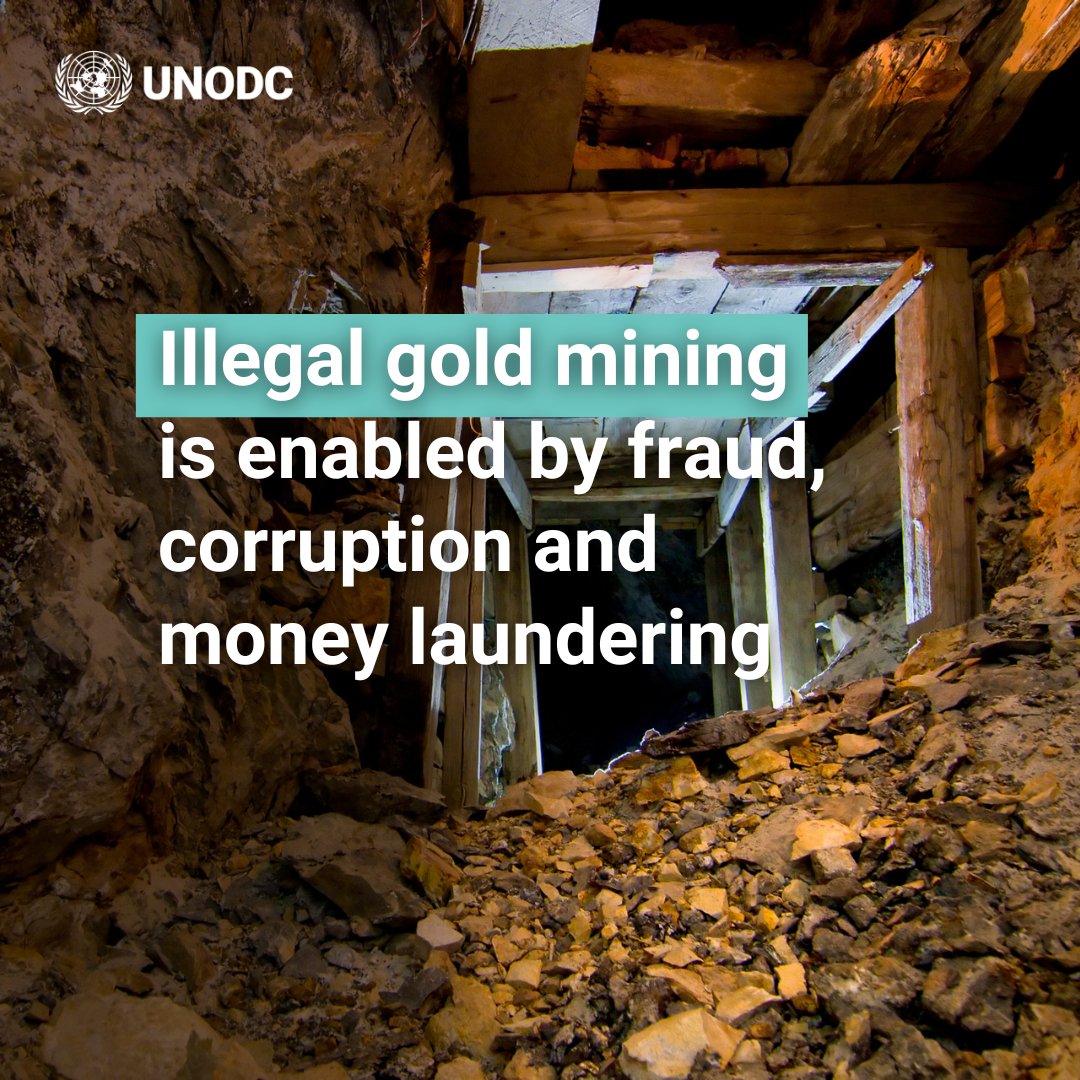 Bribing officials, bypassing regulations and using shell companies enable illegal gold to enter global markets.

Targeted law enforcement, cross-border intelligence sharing and strong corporate due diligence are key to dismantling criminal networks.

➡️bit.ly/43wdTNk