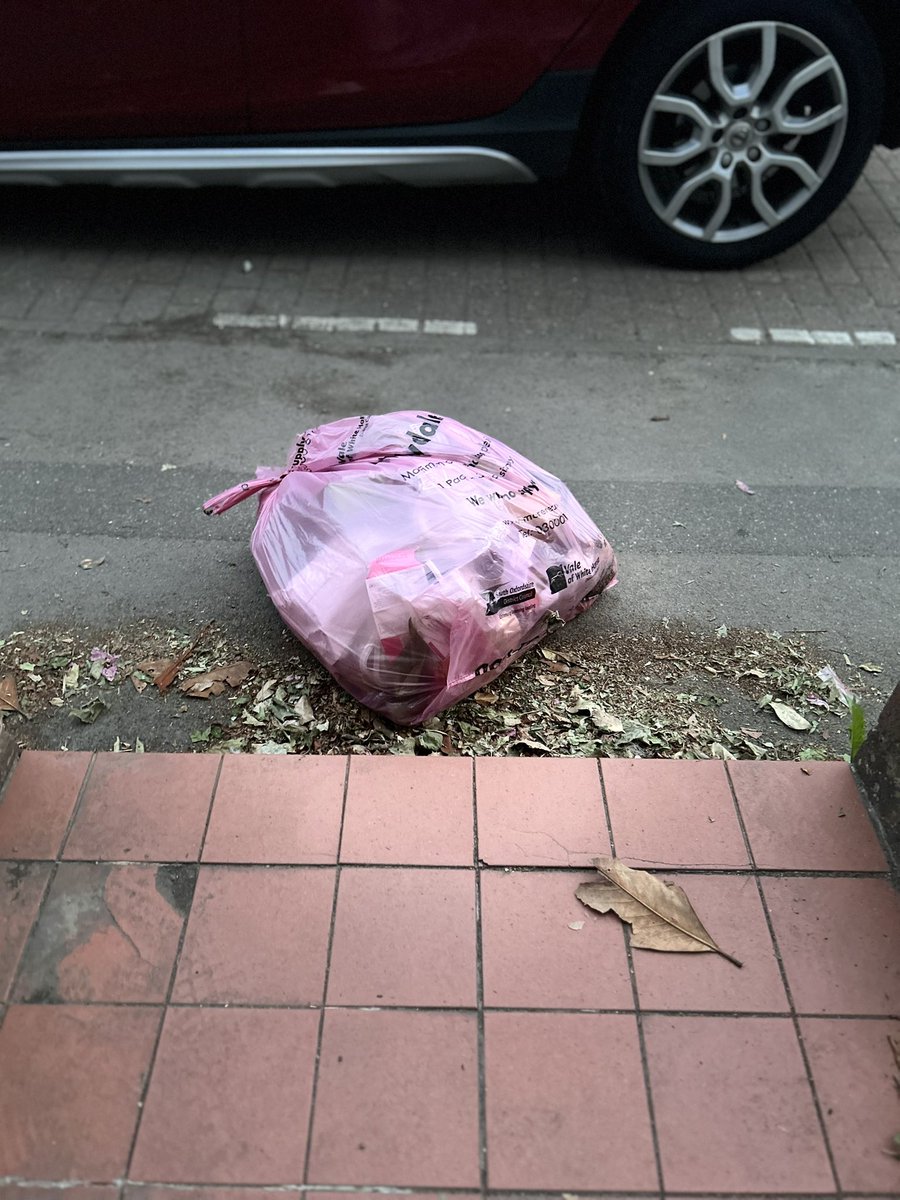 Bin-fluencing job done for the week! 😂 🗑️