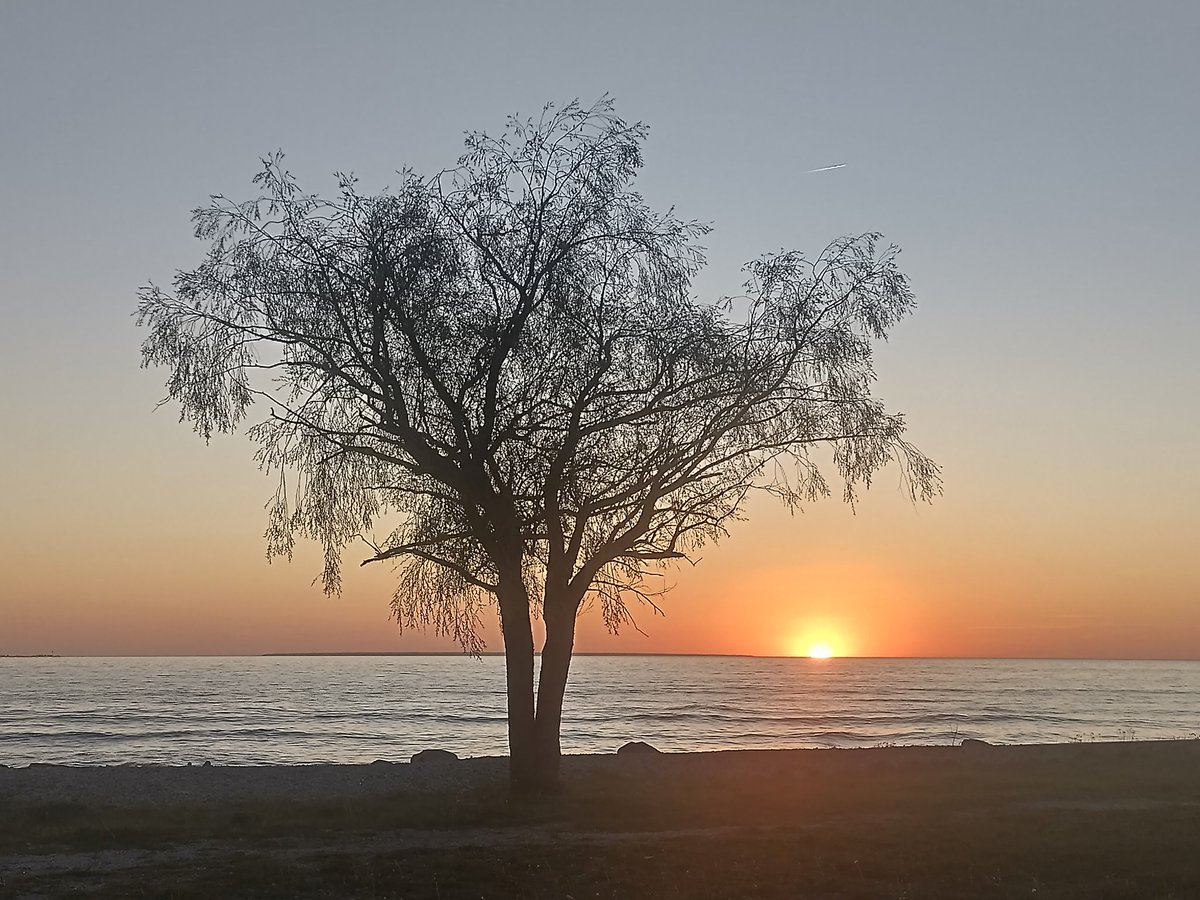 Baltic white nights are here again 🥲 #Tallinn #Pirita #spring