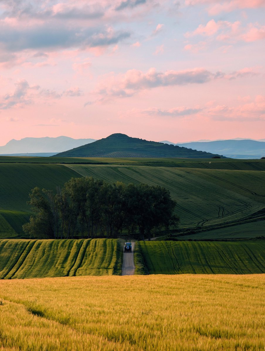 amantes_cycling's tweet photo. Tarde de Gravelandia por la Toscana Riojana https://t.co/xt8xHMiLYM