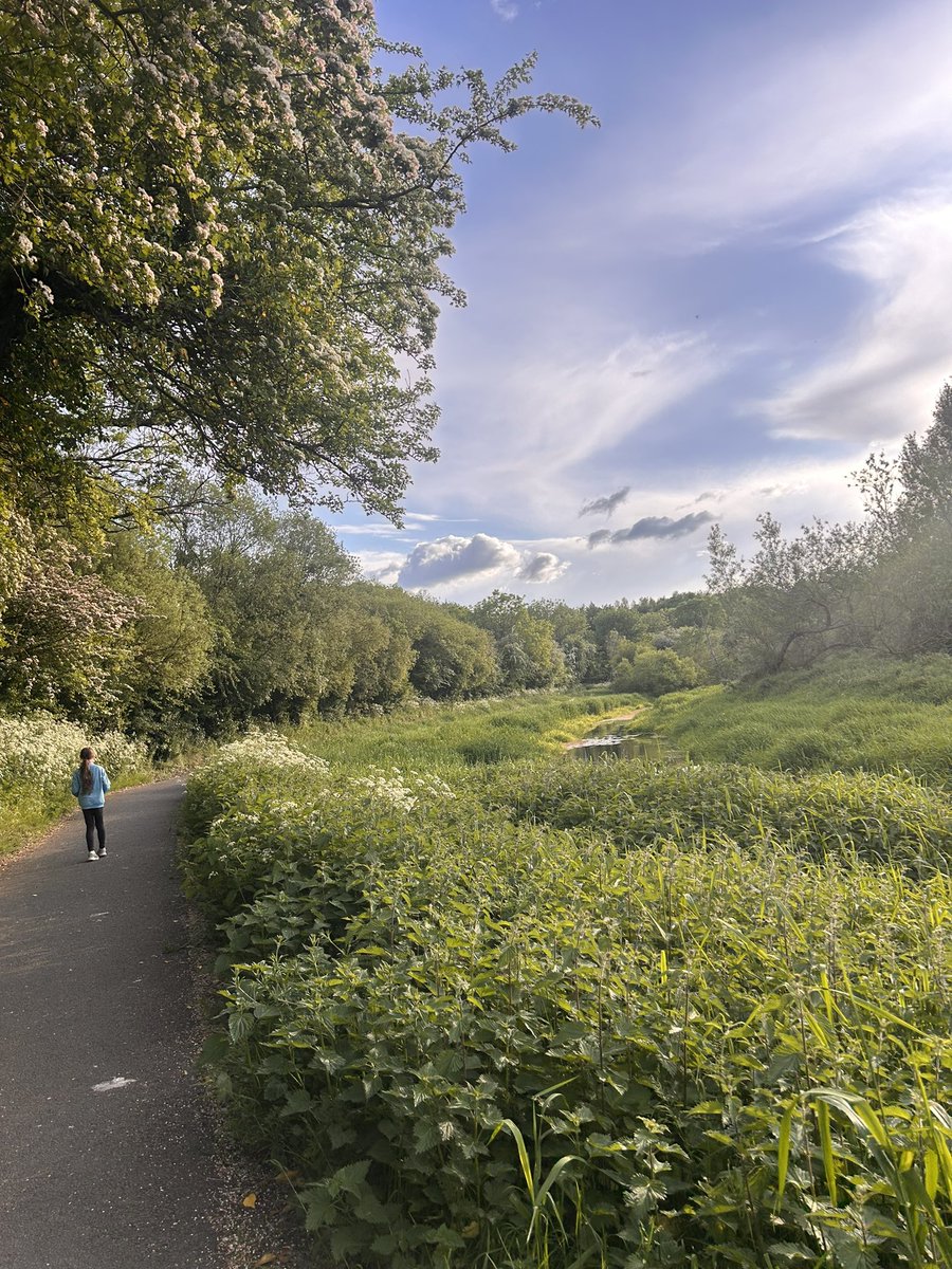 Day 19 and lots of walking around the Musgrave site as  the car park was a good distance away from my meeting! Finished the day with an evening walk, a lot cooler and I appreciated the breeze after a day spent in a hot office ☀️