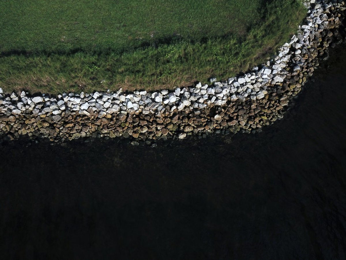 Environment.co tweet media