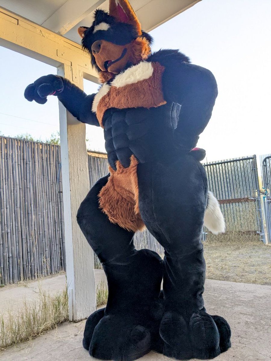 Big beauceron borfer

More muscly dogs on the way, lucky to have a model for this unit of a canine before he’s sent out. Compared to the previous big dog, the suit styleb and shaping was more restrained but a lot more refined.