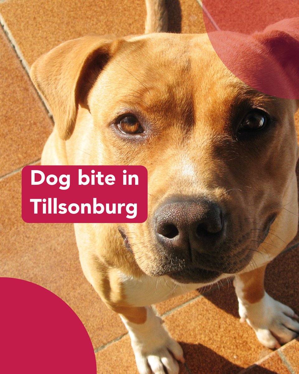 Southwestern Public Health is seeking help to identify a dog involved in a bite incident in Tillsonburg on May 19, 2025. Details here: ow.ly/ZFEO50VVXLl