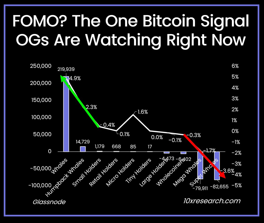 10x Research tweet media