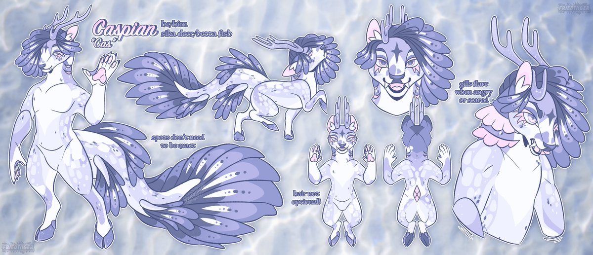 LEO - MOVED 💙☁️ tweet media