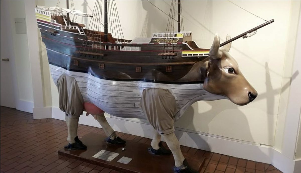 HMS Mayflower &amp; HMS Mooflower! 
#Plymouth #Massachusetts #BayColony #NewEngland