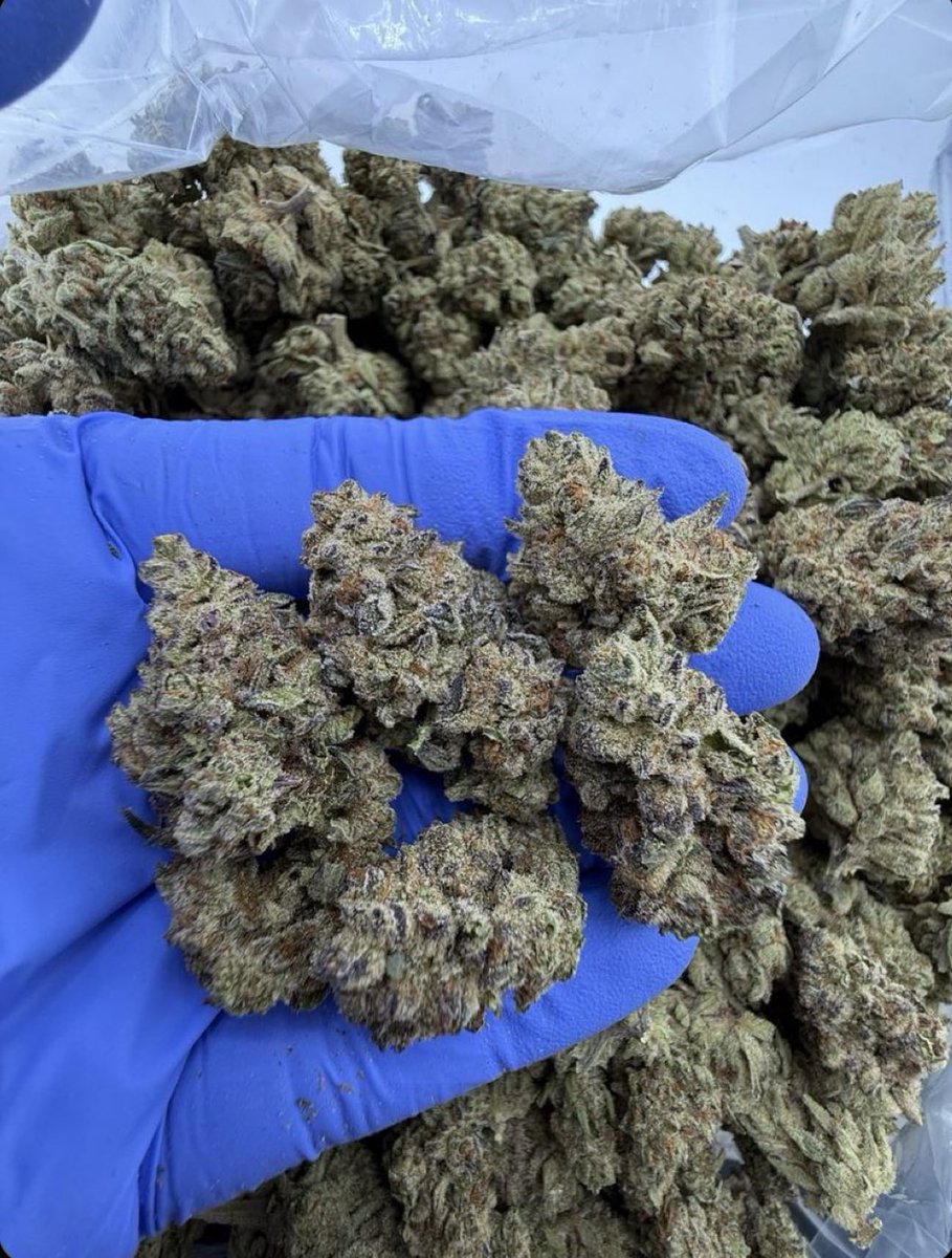 Frosty cookie cream 🥶🍪
#420friendly #420community