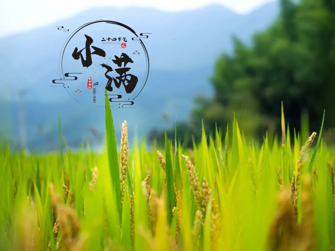 catdiedao's tweet photo. 今日小满｜人生小满胜万全
Today's Mid-Quarter | A small fullness in life is better than a fullness in everything.
#漳州 #东山岛 #小满 https://t.co/5oUObCMCZk