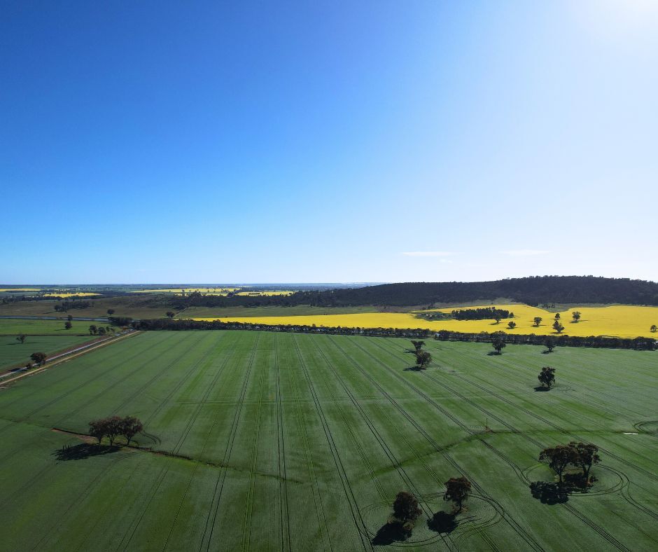 Discover strategies to boost crop profitability and set business goals with Kate Burke, Think Agri.
Identify &amp; manage risks for improved financial management &amp; more.
📍Balldale Hotel
📅 20 June
🎟️ Register now: hubs.la/Q03l8j7Q0
This event is sponsored by <a href="/theGRDC/">GRDC</a>&amp; <a href="/FRRR_Oz/">FRRR</a>