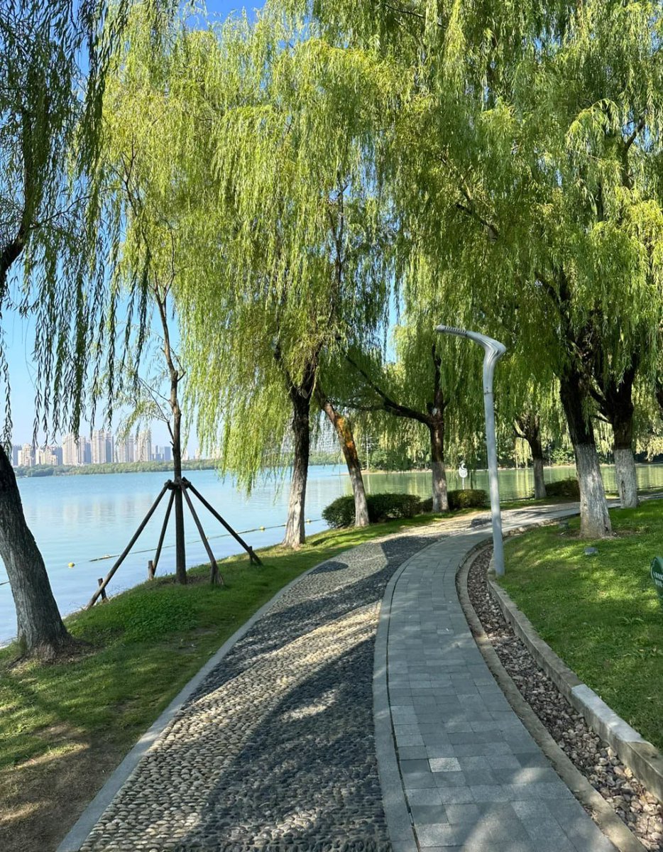 wccann's tweet photo. 穏やかな水辺に沿う小道。風にゆれる柳がまるで優しい手のひらのよう🌿💨  
歩くたびに心がスーッと落ち着いていく感じがいいね！ https://t.co/1qBf5nBxTl
