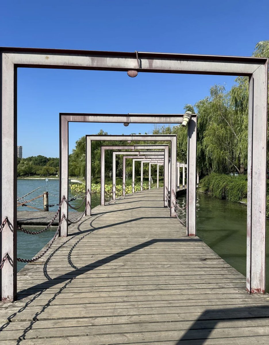 穏やかな水辺に沿う小道。風にゆれる柳がまるで優しい手のひらのよう🌿💨  
歩くたびに心がスーッと落ち着いていく感じがいいね！